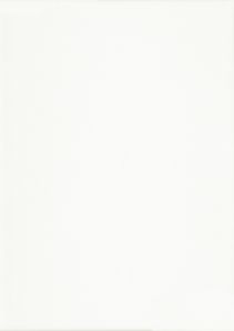 RENOLIT EXOFOL PX CRYSTAL WHITE 9294 ULTI-MATT 